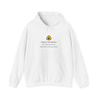 Strom ist wie Respekt: Wer ihn ignoriert, bekommt eine gewischt · Elektriker Hoodie